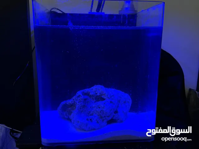 حوض nano marine