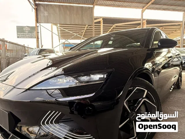 2023, بي واي دي, سيل