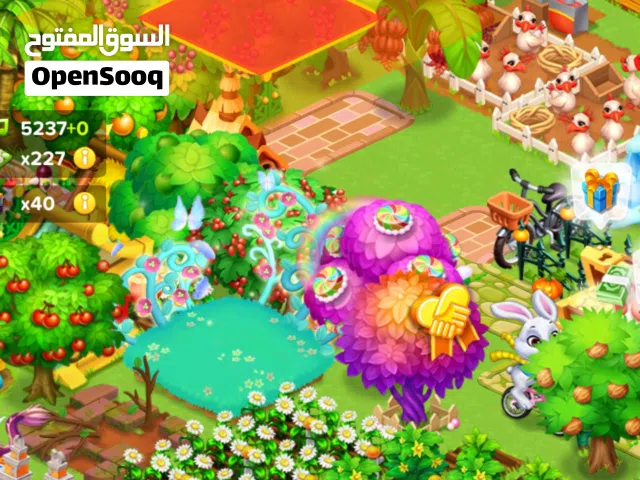 حساب مزرعه سعيده للبيع