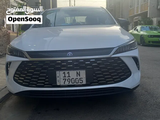 2025 بي واي دي كين