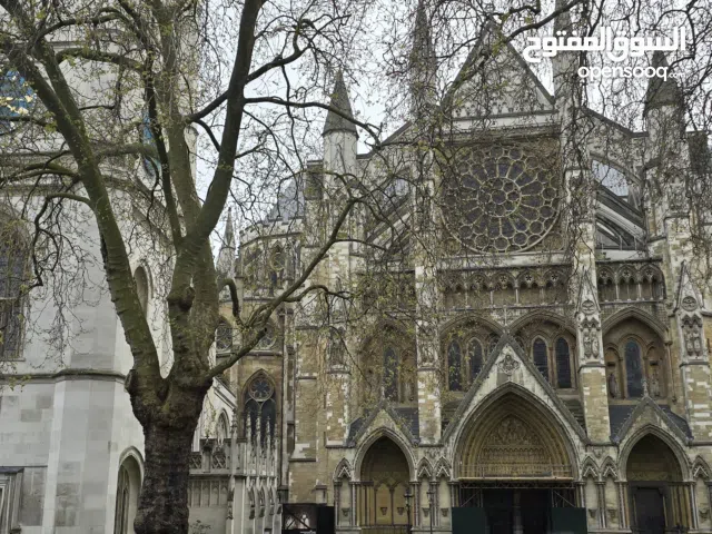 لإنقاص الوزن