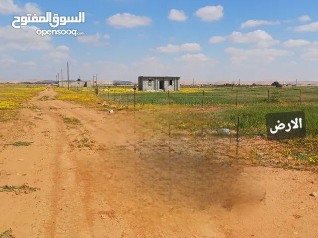 Farm Land for Sale in Benghazi Al-Miqzaha