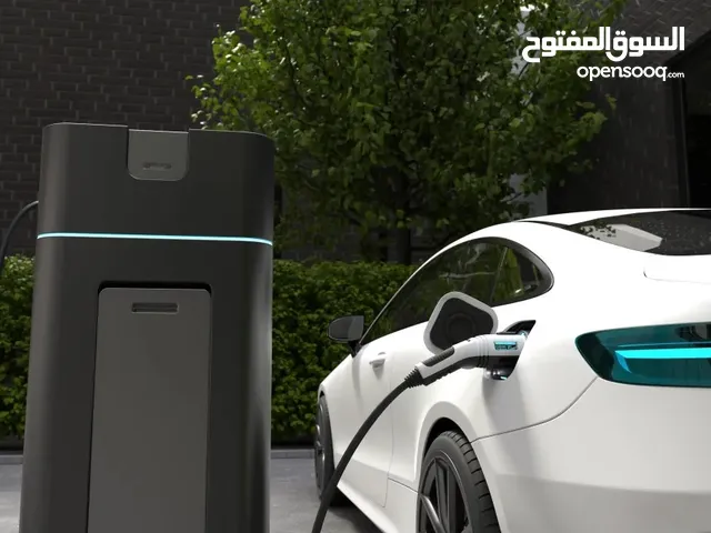 Professional EV Charger Installation Tesla & All Electric Vehicles Covered!