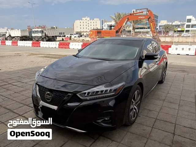 Maxima SL 2019مكسيما أس ال