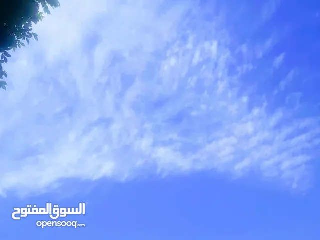 مطلوب شريك ممول لمشروع قيد التأسيس.