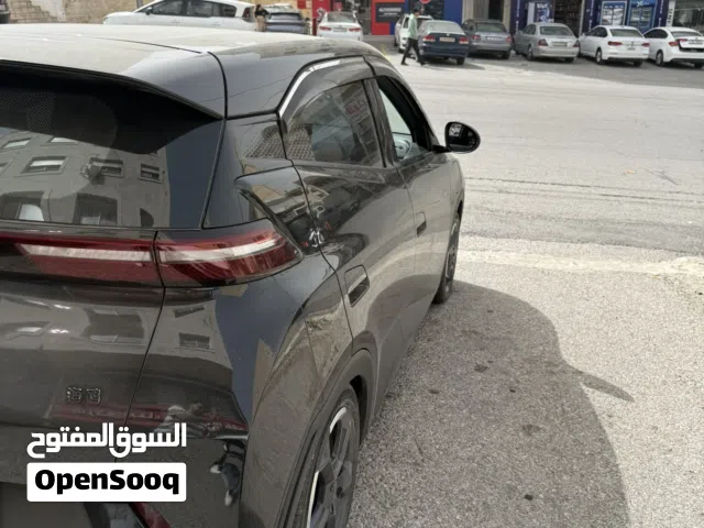 2024, بي واي دي, سيجول