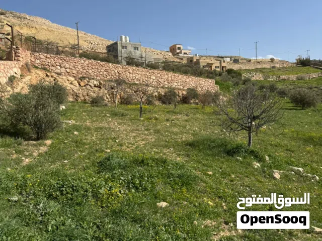 Farm Land for Sale in Zarqa Sarout