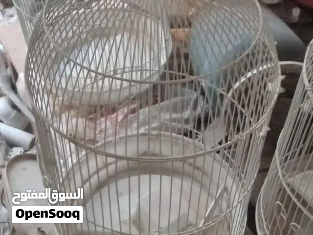 3 قفاص للبيع
