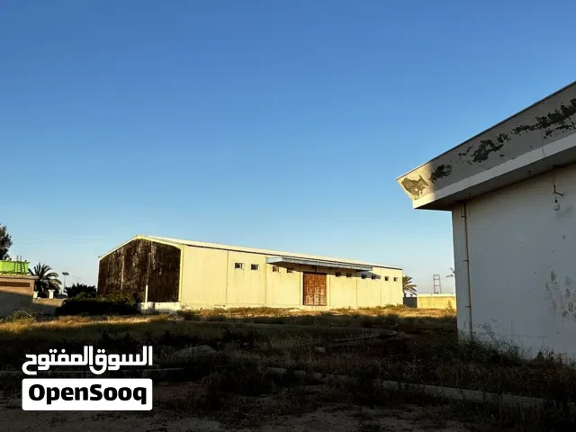 السلام عليكم ورحمة الله يوجد لدينا عدد 3 هناقر للايجار بي 7000 + عموله