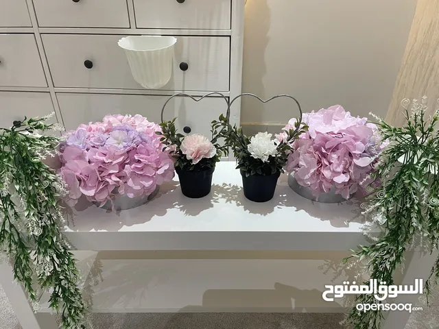 مجموعة تحف