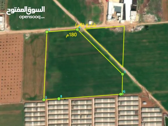 Residential Land for Sale in Irbid Al Sareeh