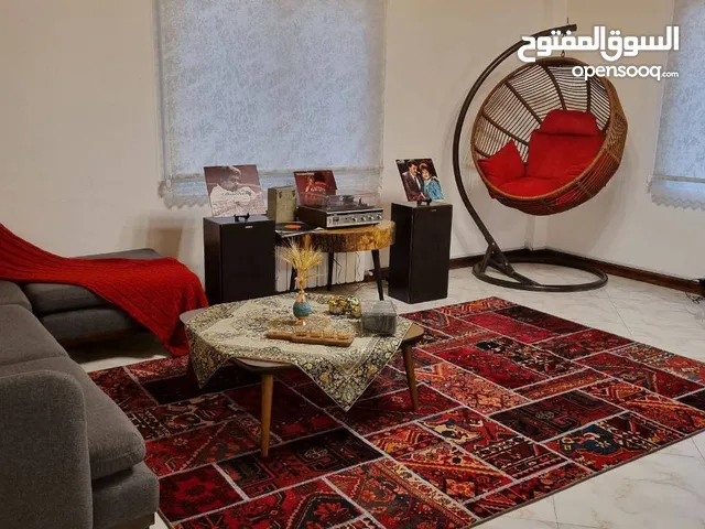 Vintage Dreem Combining ancient Iranian art and modern taste, 40 pieces of handmade Iranian carpets