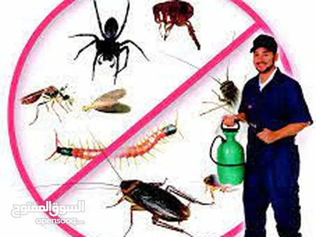 شركة مكافحة الحشرات والتعقيم مكافحة كافة انواع الحشرات في جميع أنحاء الامارات
