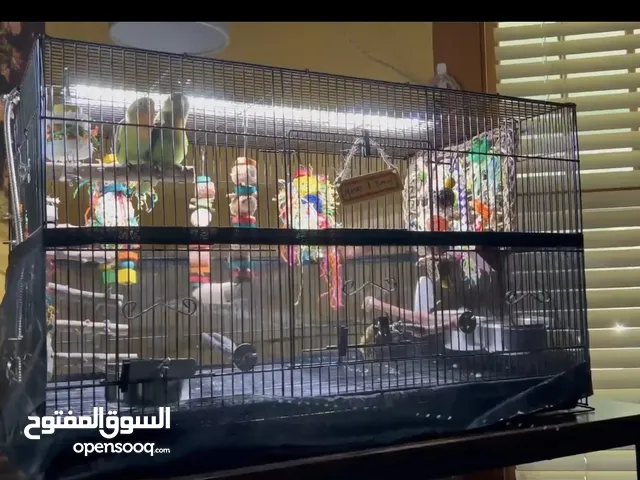 اضاءة طيور و زواحف واسماك LED تحاكي ضوء الشمس الطبيعي