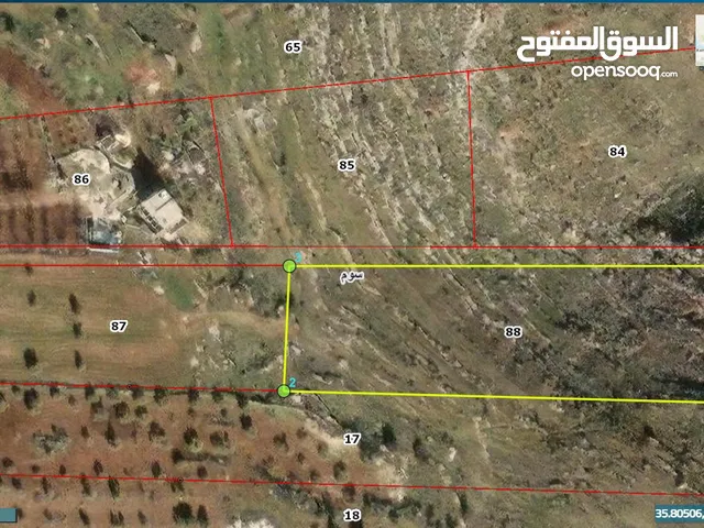 قطعة ارض للبيع في قرية سوم الشناق مقابل ابان (البارحة)