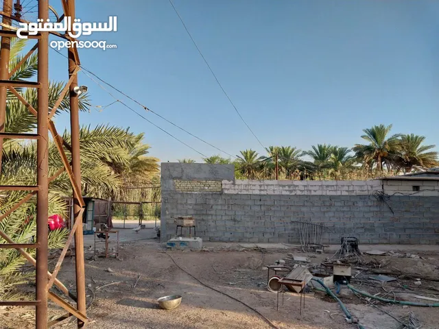بستان مع مشتمل وبحيرة للبيع