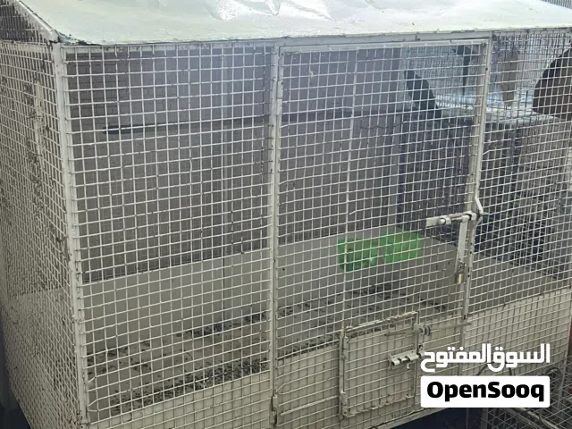 البيع قفص طيور تابع الوصف