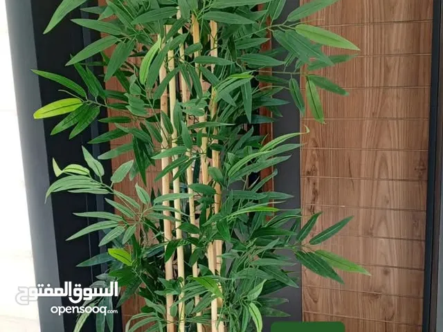 حرفتي يقدم لكم مجموعة من أشجار الزينة المميزة وبأسعار مميزة نحن مختصون في الديكورات المنزليه