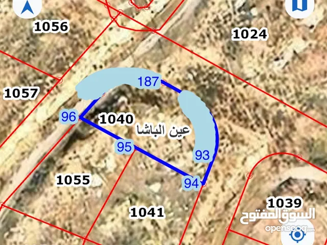 ارض مميزه للبيع في عين الباشا ( الرملة الغربيه )