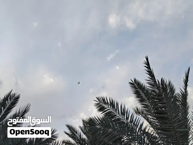 بيت في ابو الخصيب منطقة العوجة المساحةالكلي1000م/ 725م طابو +الوقف 275م يحتوي على بيتين البيت الكبير