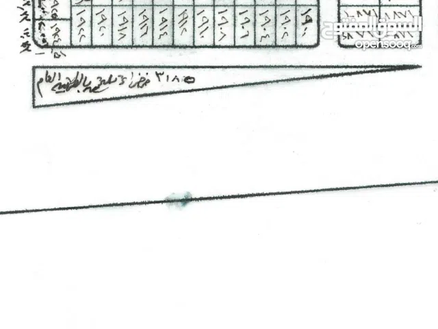 Commercial Land for Sale in Basra Asatidha