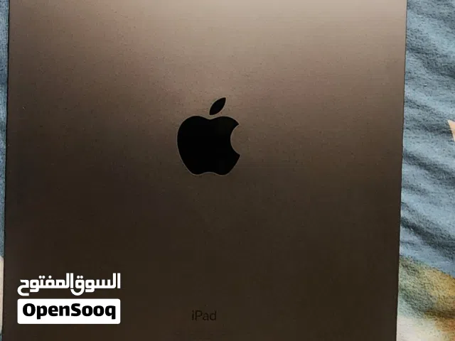 Apple iPad Pro 256 GB in Muscat