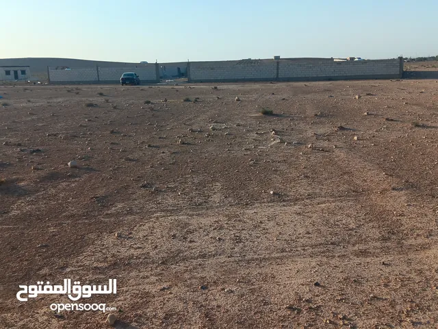 مطلوب شريك ممول لمزرعه مواشي