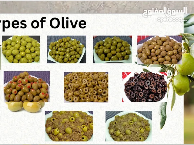 تصدير الزيتون والمواد الغذائية في الدول العربية صدرا تجارة رايكا، طهران