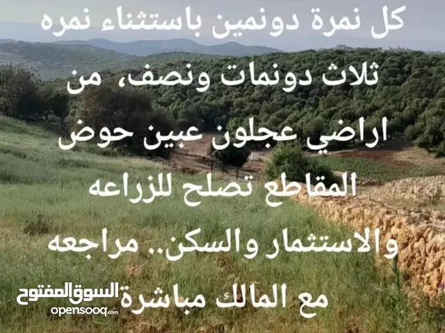 Farm Land for Sale in Ajloun I'bbeen