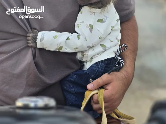 للبدل على دراجة