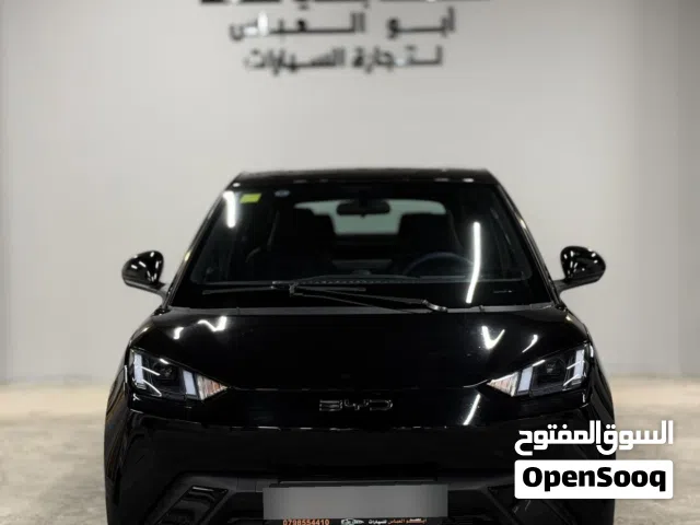 2023, بي واي دي, سيجول