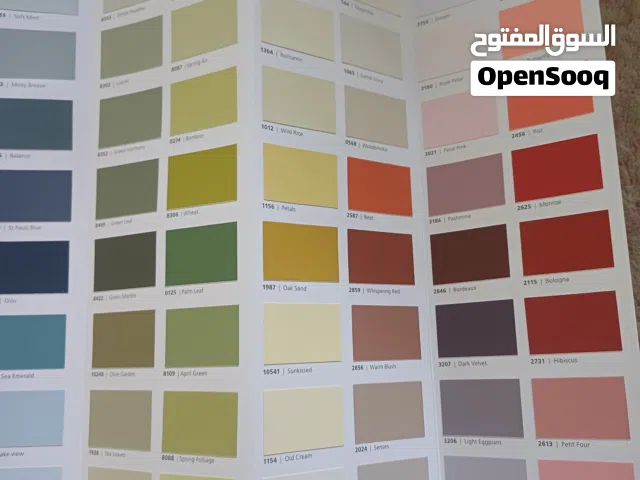 Apartments painting Villa painting Guesthouse painting Old house resolutions office painting restaur
