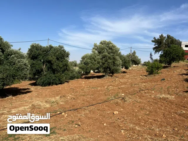 Farm Land for Sale in Jerash Dahl