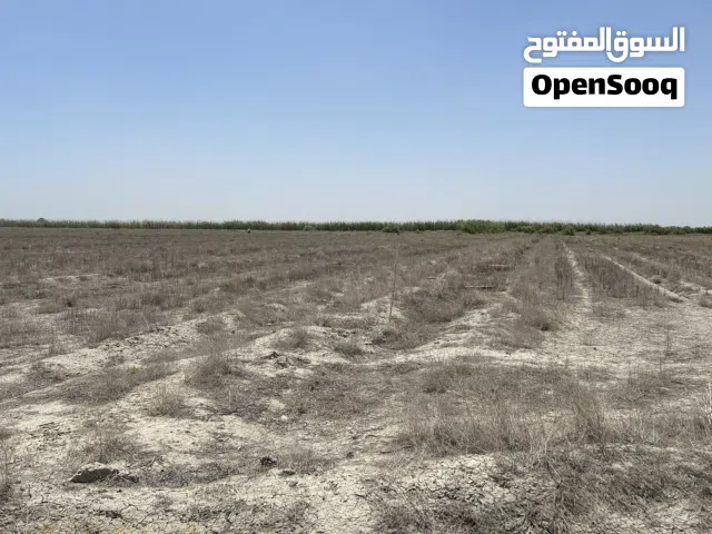 ارض زراعية 10 دونم طابو 25