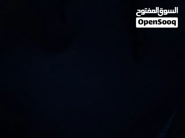 بدي اي نوع قطط لتبني في الخليل