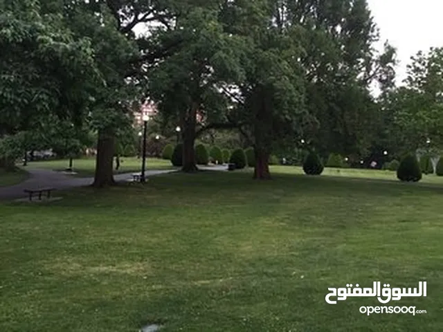 Farm Land for Rent in Salt Al Balqa'