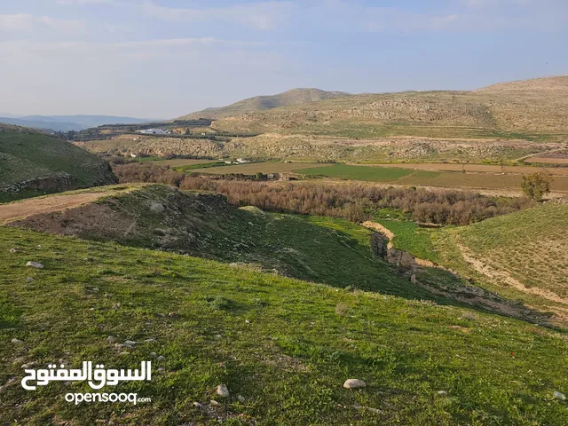 Farm Land for Sale in Zarqa Birayn