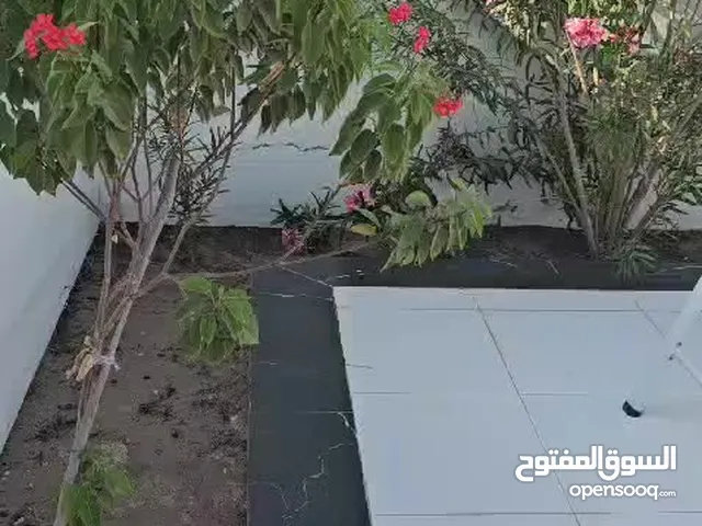 مباشر من المالك استراحة خمس نجوم في ولاية بركاء الفليج على اول خط من الشارع المرصوف
