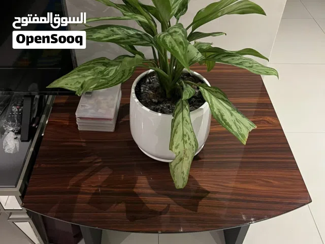clearance prices for high quality used furniture in great condition