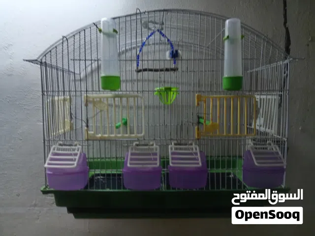 مطير 6 معالف قفص  4 معالف و قفص 3 معالف و أغراضهم وقافات وبياضه.   واستاند صغير ومائكل ذكيه وعش فخار