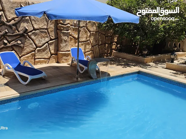 استرحه لجار اليومى