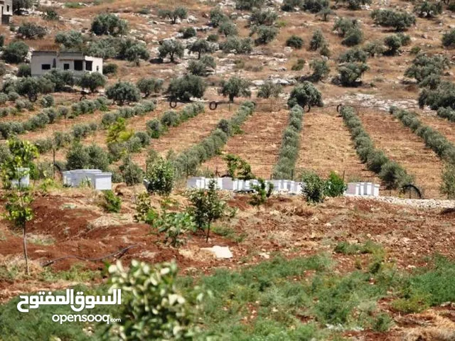  Land for Sale in Nablus Al-Aghwar
