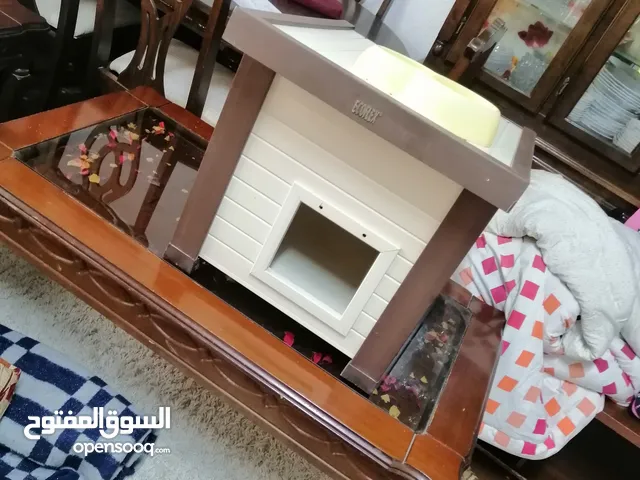 بيت قطه بلاستيكي
