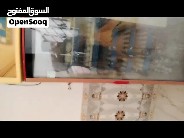 فقاسه حلوه نثيفه دبل جامه