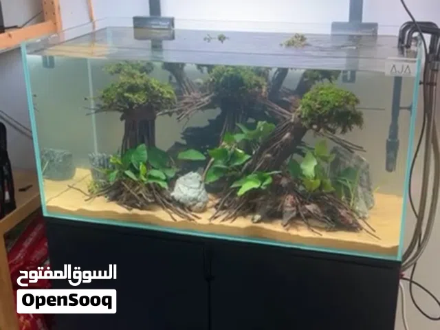 حوض اسماك متكامل جوده عاليه للبيع