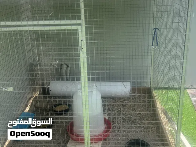 قفص للبيع شبه جديد استخدام شهر فقط