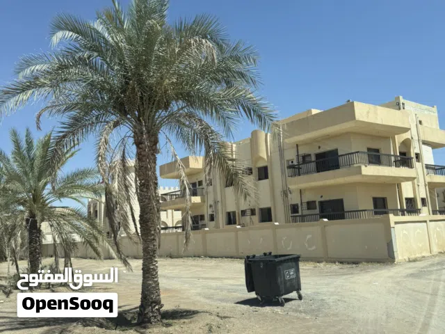 مبنى تجاري/سكني كامل للاستثمار (للإيجار بالكامل) على طريق صحار - البريمي الرئيسي