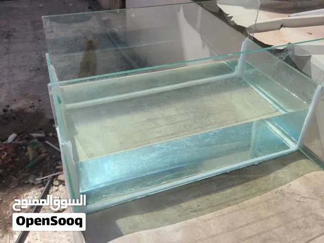 aquarium 40 litter galon