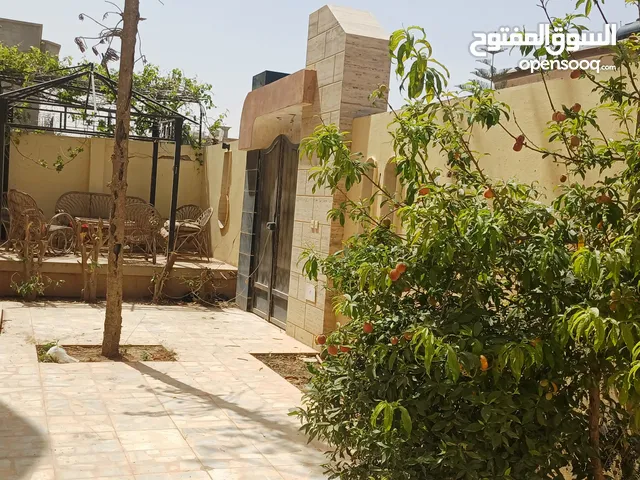 فيلا دبلكس للايجار / شركات