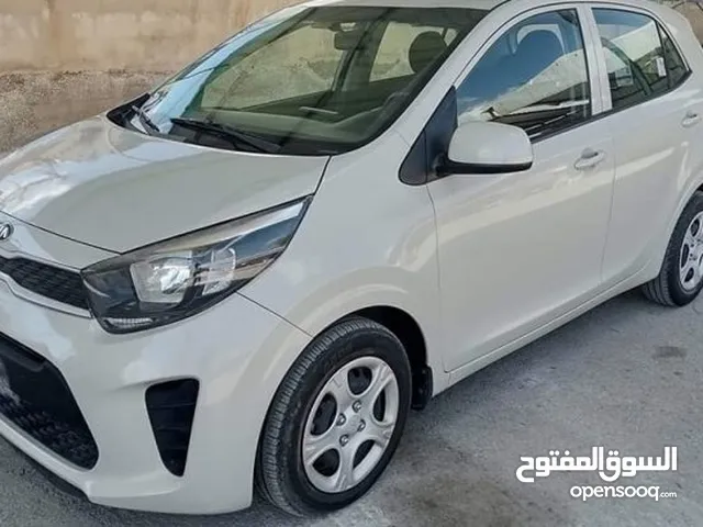للايجار سيارات بيكانتو بافضل سعر
